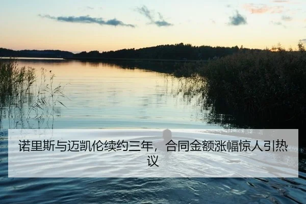 nuo-li-si-yu-mai-kai-lun-xu-yue-san-nian-he-tong-jin-e-zhang-fu-jing-ren-yin-re-yi-2-862.jpg