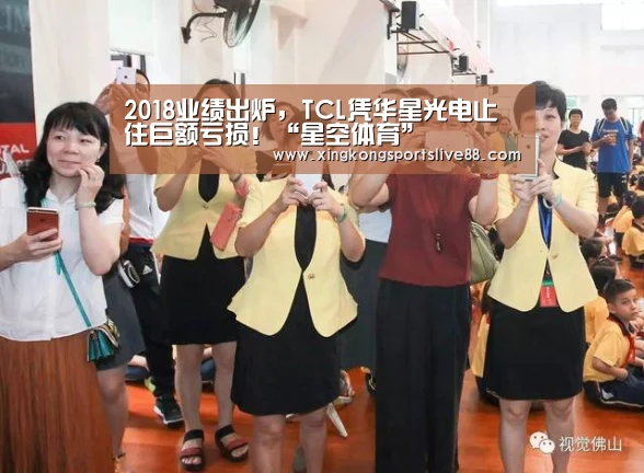 2018业绩出炉,TCL凭华星光电止住巨额亏损!“星空体育”(图3) 星空平台